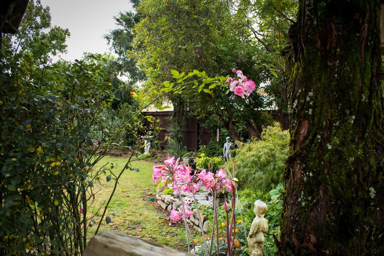 Holland House Bed & Breakfast Nelson Kültér fotó